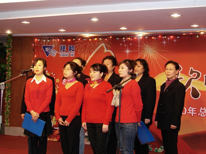 20100304113448934 20100304113448934