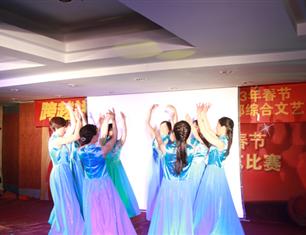 跨越祥和，超越自我—2013春節(jié)聯(lián)歡--財務處